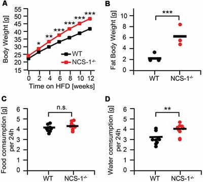 NCS-1 Deficiency Is Associated With Obesity and Diabetes Type 2 in Mice